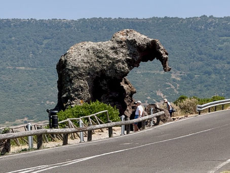 The old elephant rock.