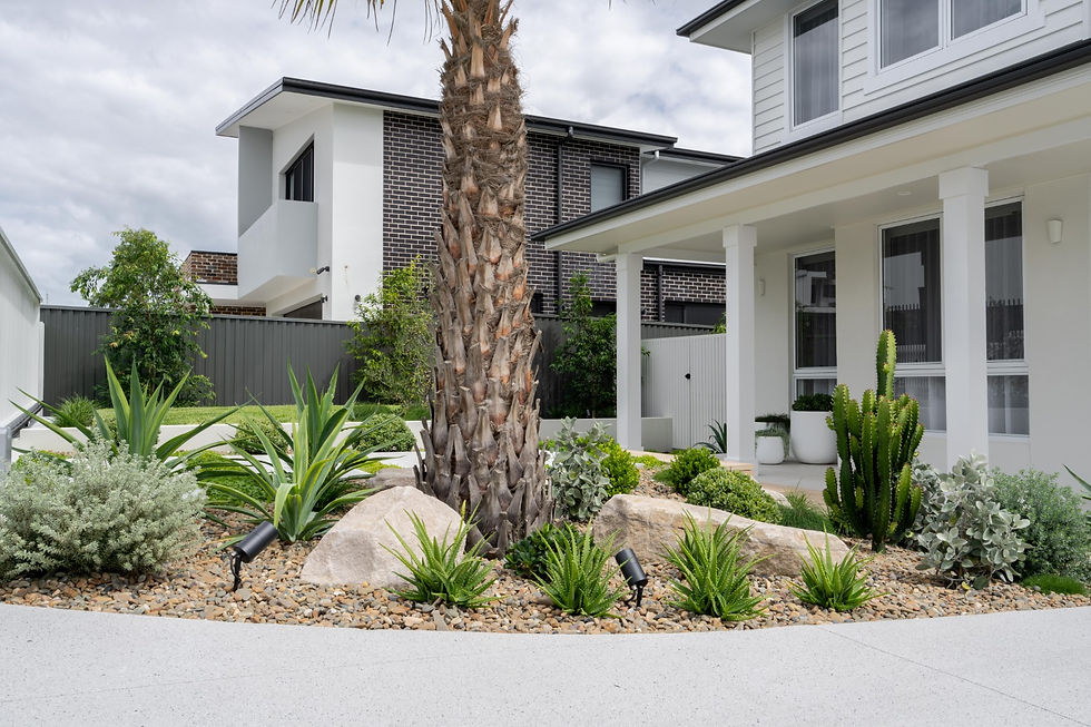 A xeriscape Palm Springs-inspired garden in the Sutherland Shire, by Corey Fox Landscaping