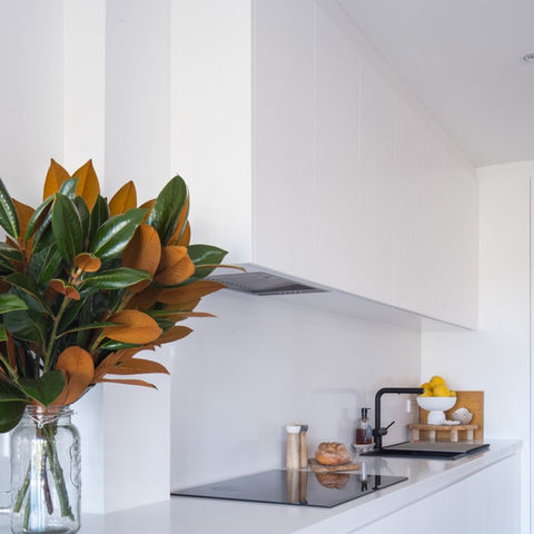 Sutherland Shire Burraneer II new kitchen