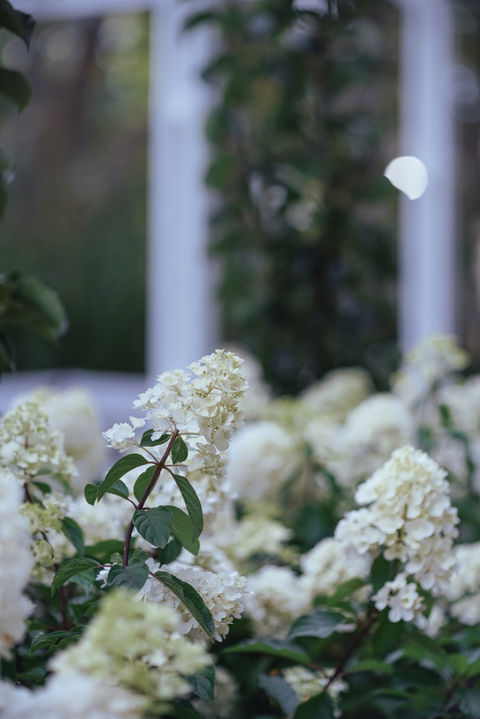 Sydney Landscape Architect Garden Design