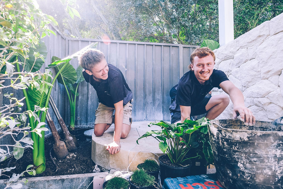 Sutherland Shire landscaping apprentices working with plants