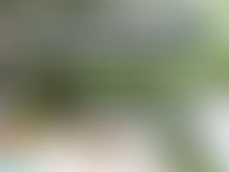 Life Outdoors is Now Installing Pergolas and Decks Across Sydney