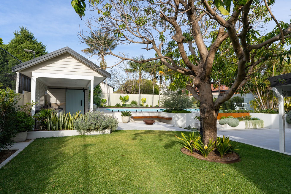 Green grass with big tree and pergola