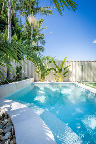 Sutherland Shire Duplex Pool with curve and Palm tree