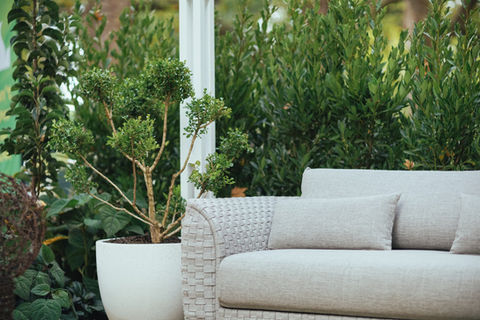 Sydney Landscape Architect Garden Design