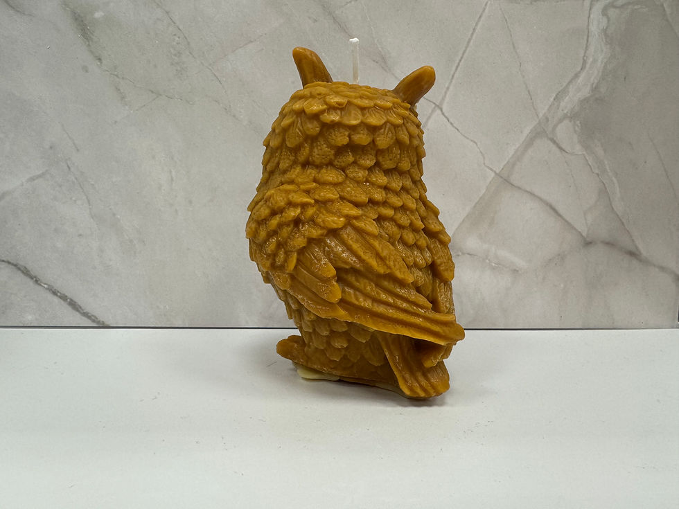Thumbnail: Decorative Candle Owl