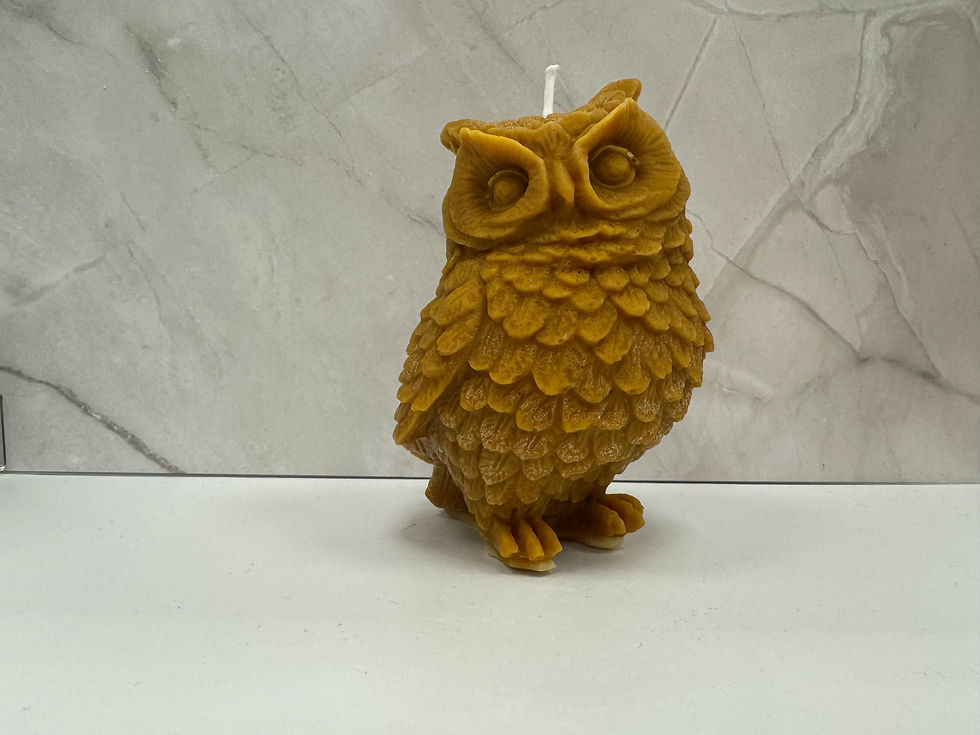 Decorative Candle Owl