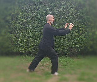 taichi form