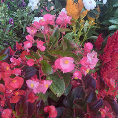 להיפתח להרגשה