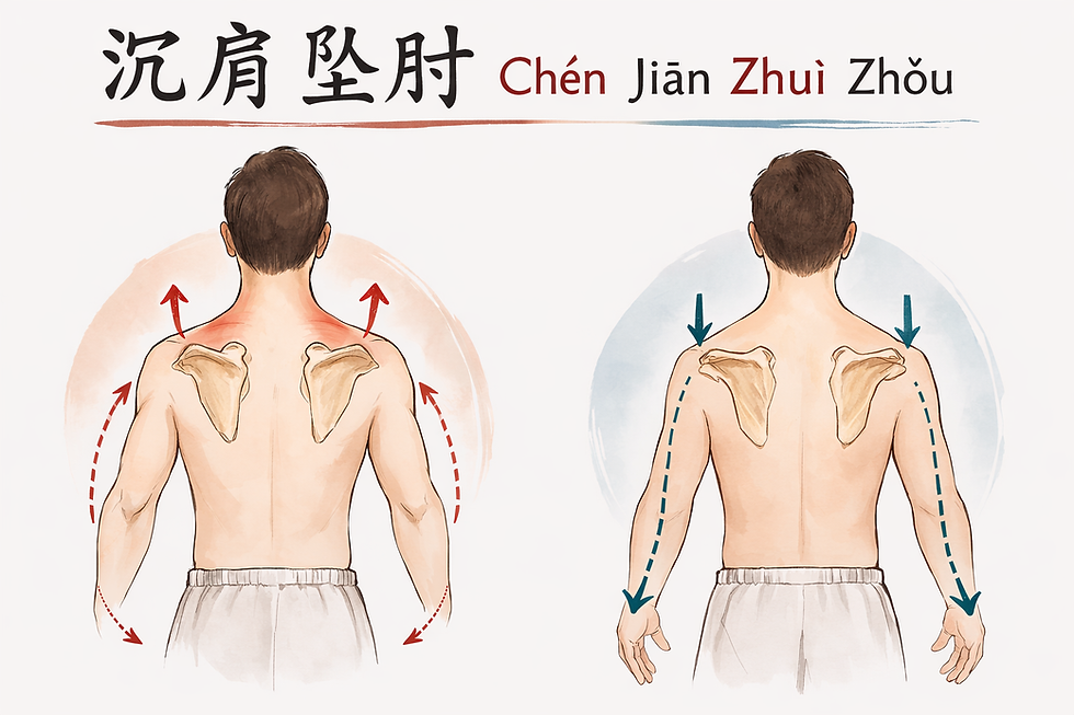 העקרון החמישי בטאי-צ'י - יאנג צ'ן פו