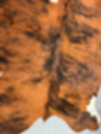 Thumbnail: Exotic Cowhide Rug 