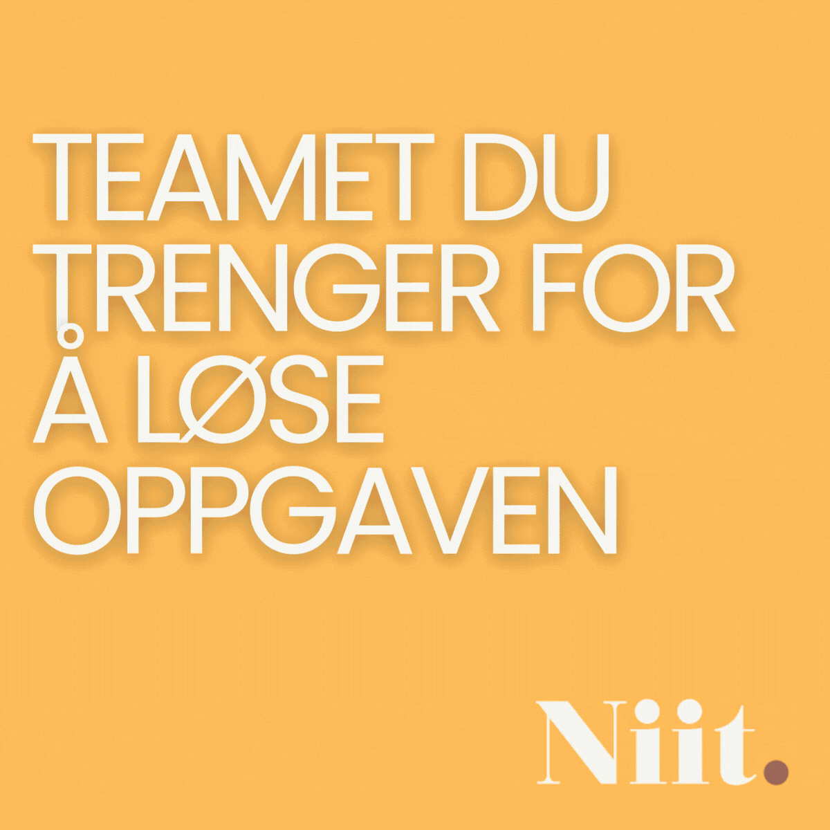 Niit.Inspirasjon_GIF_ensfarget.gif