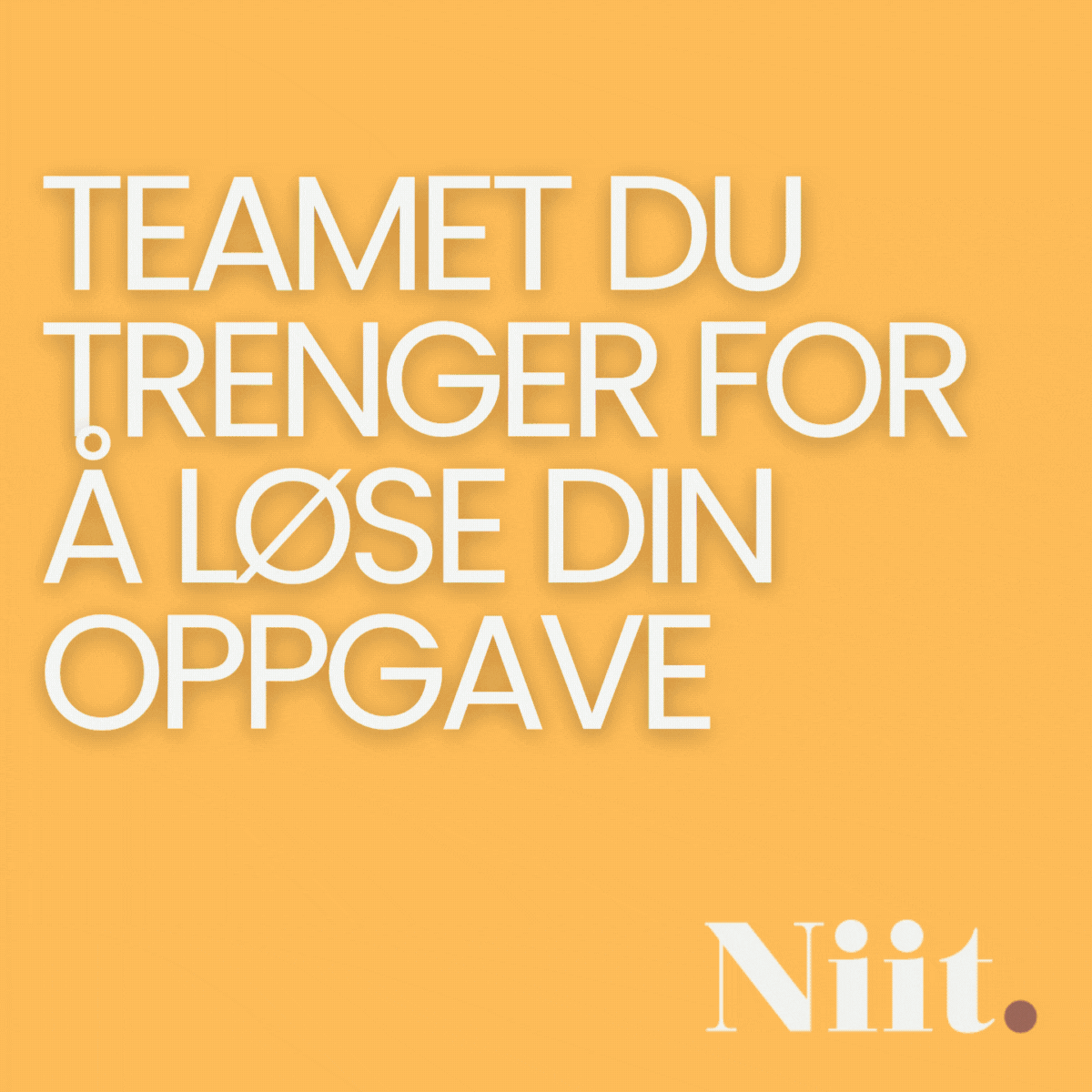 Niit.Inspirasjon_GIF_ensfarget_v2.gif