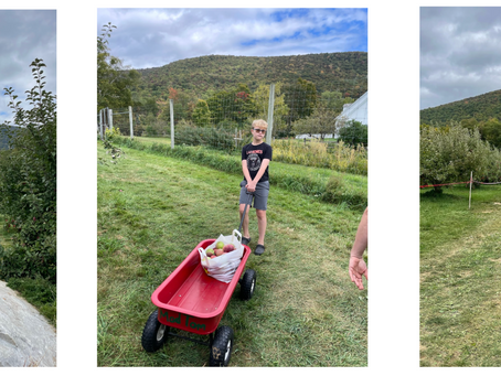 Apple of My Eye (& Belly!)