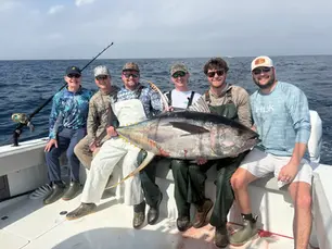 Fall Yellowfin in Venice: The Big Tuna Come In Close