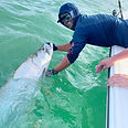 lambtarpon.jpg