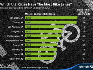 Parking in the Bike Lane