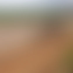 A New Perspective: Biking in Central-East Africa