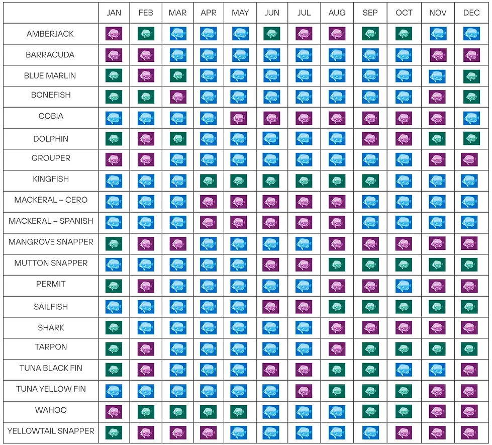 Fish Calendar.webp