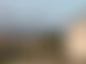 從餐桌到傳奇:新西蘭 Te Mata 百年家族酒莊的故事 一試難忘的經典系列!