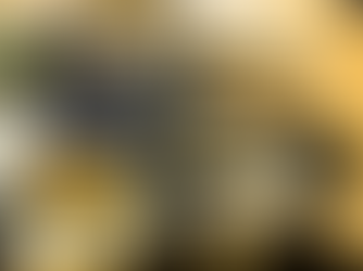 喜愛酒精卻又想減肥? 氈酒成為減肥必備飲品