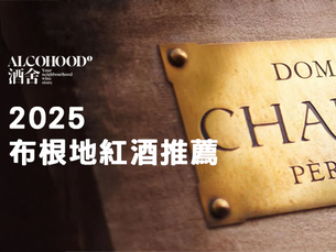 2025 布根地紅酒推薦