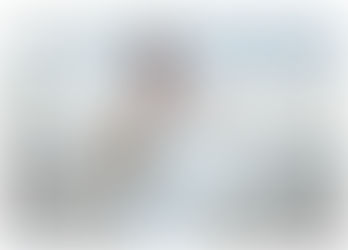 Lehi Wedding Photographer: Utah Lake Bridals