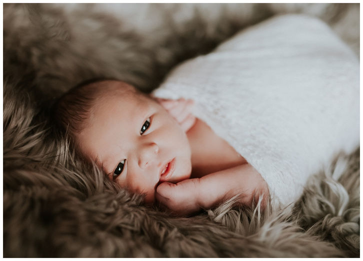 Mr. L's Newborns