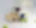 4I7A0317.webp