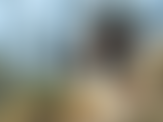 Descenso MTB por el bosque en pareja.