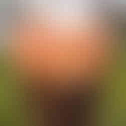 roest in de scheepvaart