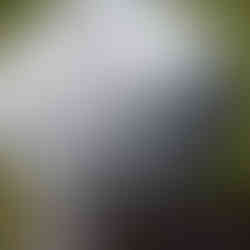 roest in de scheepvaart