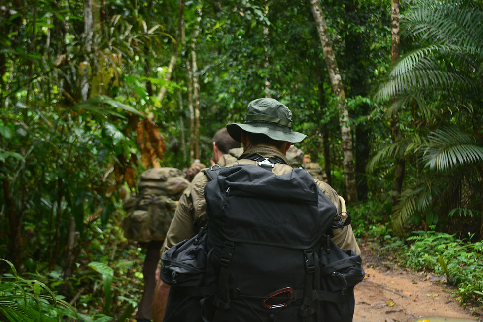 Thumbnail: Wilderness Guide Level 2: Jungle