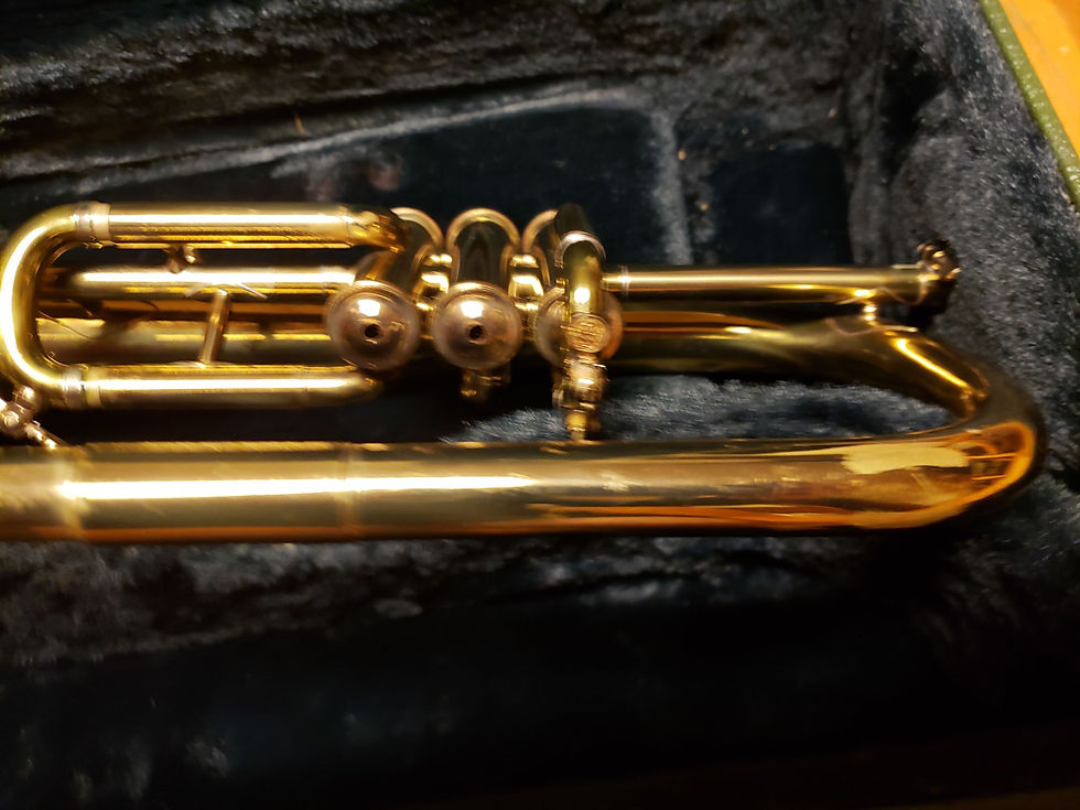 Thumbnail: Super-Rare Selmer Paris Flugelhorn