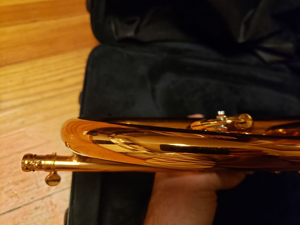 Thumbnail: Victory Revelation Series Professional Flugelhorn With Trigger! VFLH-RSGL--Demo!