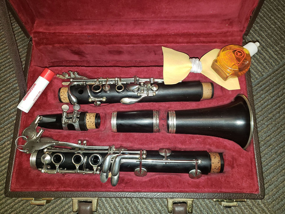 Buffet Crampon E11 Intermediate Wood Clarinet!