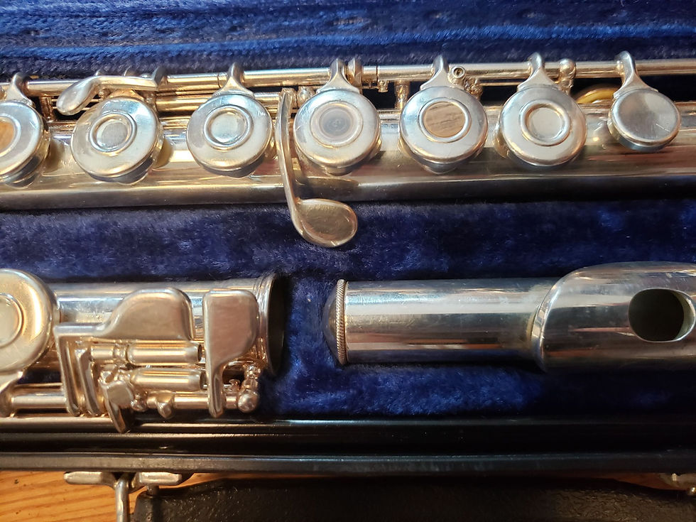 Thumbnail: Gemeinhardt 3B Step-Up Flute--Open Hole, B-Foot, Just Adjusted!