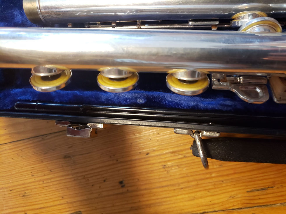 Thumbnail: Gemeinhardt 3B Step-Up Flute--Open Hole, B-Foot, Just Adjusted!