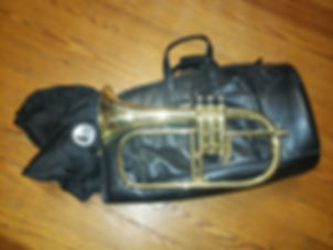 Yamaha Bobby Shew 6310Z Flugelhorn W/ GARD Bag!