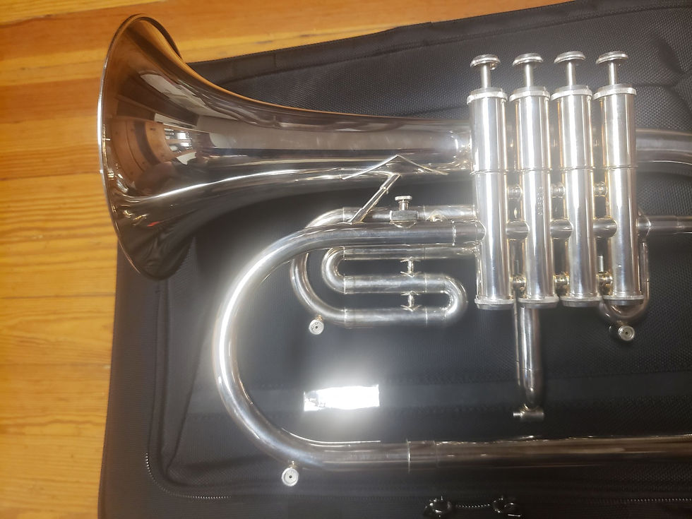 Thumbnail: Getzen Eterna 4-Valve Silver Flugelhorn W/ New ProTec Combo Case!