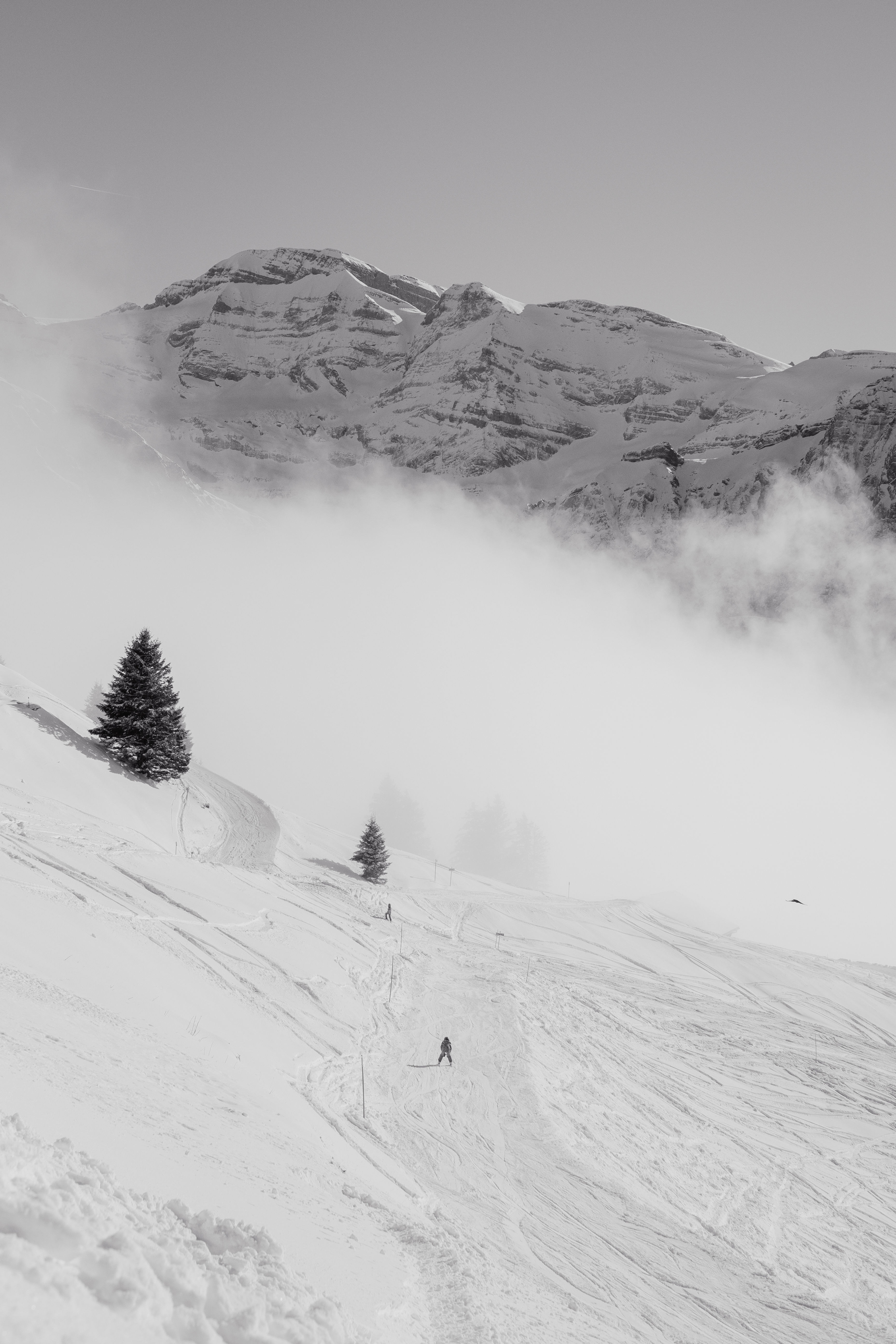 Under the Mountain’s Watch