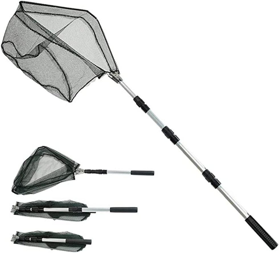 Thumbnail: Telescopic Folding Fishing Landing Net For Bird Fish Catch Aquarium Ponds