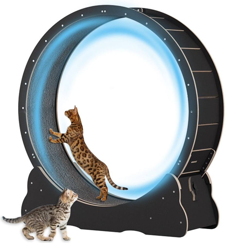 2024 New Large Cat Exercise Wheel 40 Inch 