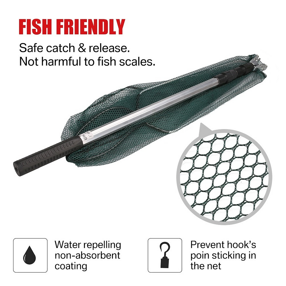 Thumbnail: Telescopic Folding Fishing Landing Net For Bird Fish Catch Aquarium Ponds