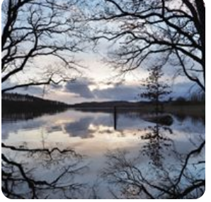 Fotograf_ Mette Svendsen Steilman