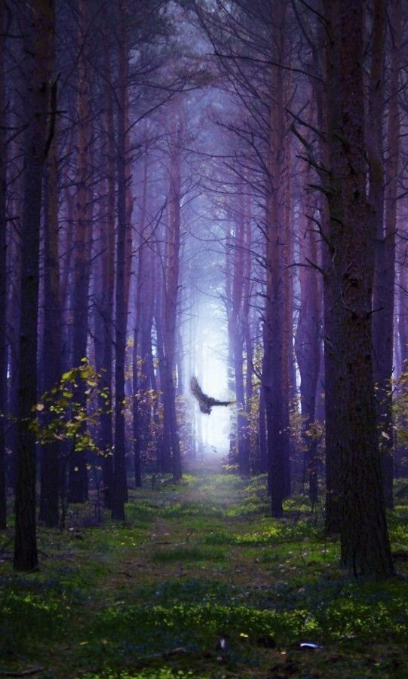 May the wind under your wings bear you w