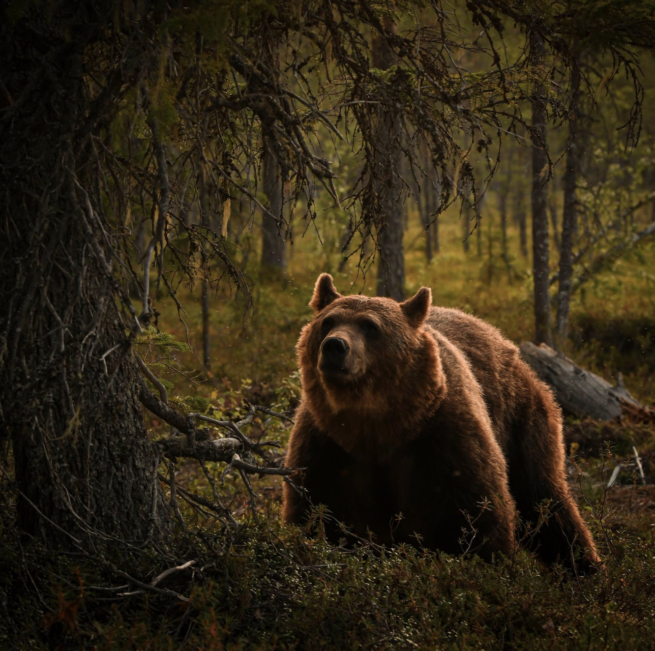 photocredit Bente Hebo Jensen