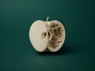 A halved apple resembling bone structure on a dark green background, showcasing intricate textures and patterns.