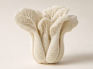 Calcium sources for osteoporosis on a vegan or dairy-free diet