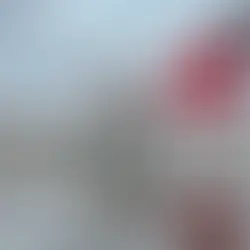 Travel Insurance with Medical Evacuation coverage